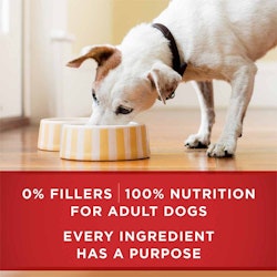 0% fillers, 100% nutrition for adult dogs