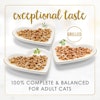 Nutrición 100 % completa y equilibrada para gatos adultos