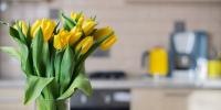 vase of yellow tulips on kitchen counter