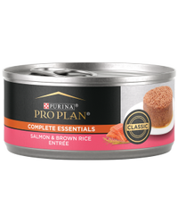 pro plan salmon brown rice wet cat food