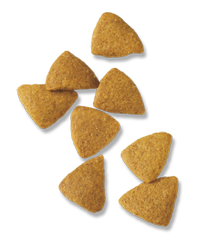 Croquetas Pro Plan Sport 26-16