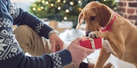Christmas Holiday Dog Treat Gifts