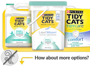 unscented cat litter