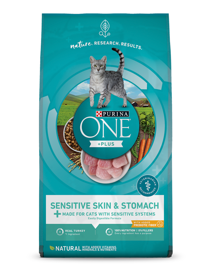 Purina ONE +Plus Sensitive Skin & Stomach Dry Cat Food