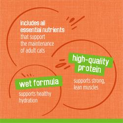 includes all essential nutrients that support the maintenance of adult cats