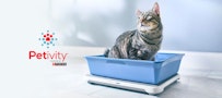 Petivity litter monitor - cat in litter box
