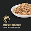 Made with real trout for a taste cats love