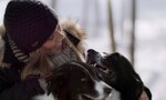 Amber McCune y perros