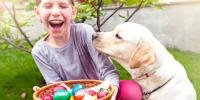 Kid owner and dog playing with an Easter basket filled with Easter eggs