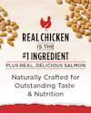 Real Chicken is the #1 Ingredient, Plus Real, Delicious Salmon. Naturally Crafted for Outstanding Taste & Nutrition.