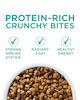 protein-rich crunchy bites