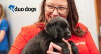 Duo Dogs Banner