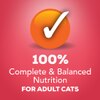 100% complete and balanced nutrition for cats