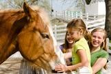 una familia con niños pequeños acariciando un caballo en las Purina Farms