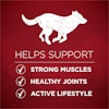 Helps Support : Strong Muscles, Healthy Joints, Active Lifestyle
