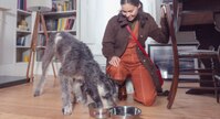 Una mujer y un perro mirando a la comida en platos