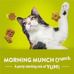 Morning Munch Crunch. A party-starting mix of yum! 