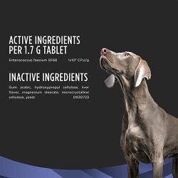 Active Ingredients