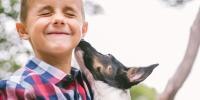 Puppy is licking the face of a boy