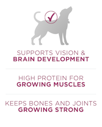 apoya el desarrollo de la visión y del cerebro. Alto contenido de proteína para los músculos en crecimiento. Mantiene los huesos y las articulaciones en crecimiento fuertes.