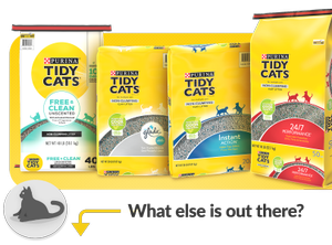 non-clumping cat litter