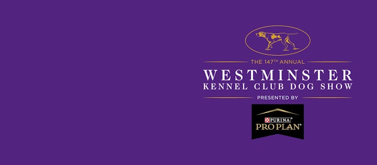 The 147th Annual Westminster Kennel Club Dog Show, presented by Purina Pro Plan