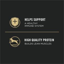 ayuda a mantener un sistema inmunitario saludable gracias a su proteína de alta calidad