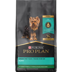 Fórmula Purina Pro Plan Desarrollo para cachorros de razas miniatura