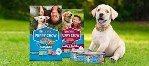 purina puppy chow puppy food