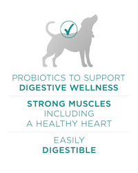 probiotics to support digestive wellness