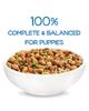 beneful-healthy-puppy-dry-dog-food-complete-balanced