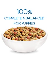 beneful-healthy-puppy-dry-dog-food-complete-balanced