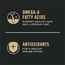 omega-6, antioxidants 