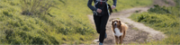 person running outside with their dog