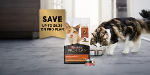 Save up to $8.24 on Pro Plan. Cat eating Pro Plan cat food