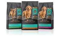 pp website pkg lineups dog dev