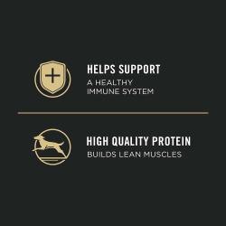Ayuda a mantener un sistema inmunitario saludable. Rico en proteínas para desarrollar músculos magros.