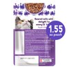 Friskies Lil Grillers with Turkey in Gravy Cat Food Topper