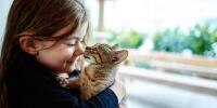Do Cats Need Different Food at Different Stages of Their Lives?