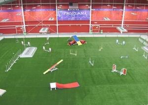 Purina Event Center floor set up for agility trials with Artificial turf 