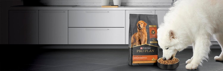 Pro Plan Dry Dog Food Hero Banner