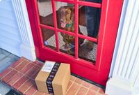 Paquete delante de la puerta delantera roja con el perro mirando a través