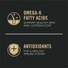 omega-6, antioxidants 