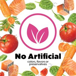 no artificial colors, flavors, preservative