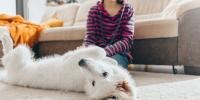 perro blanco de espalda en el suelo junto a una persona