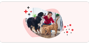 A woman kneels down to pet her dog and cat next to a Purina package.