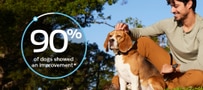 A person petting a dog