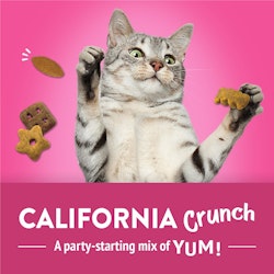 California Crunch. A party-starting mix of yum!