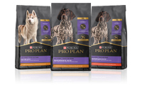 Pro Plan Performance Dry Dog Food