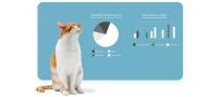 Petivity Insights Report